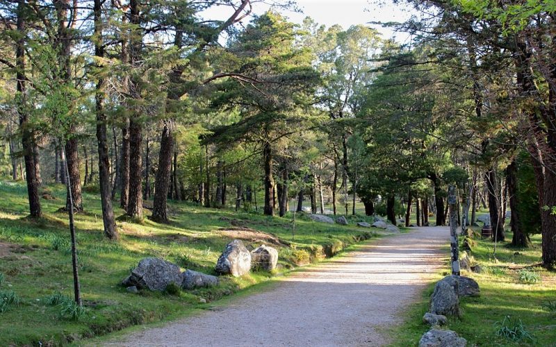Parque Natural del Monte Aloia