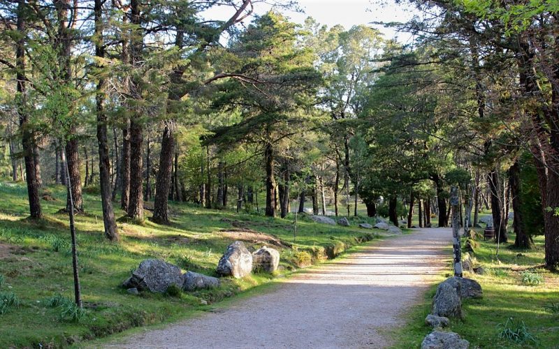 Parque Natural del Monte Aloia 2 Parque Natural del Monte Aloia