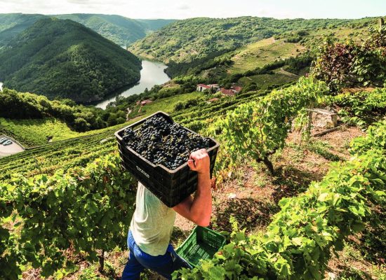 Ribeira Sacra - Amandi Ribeira Sacra Amandi