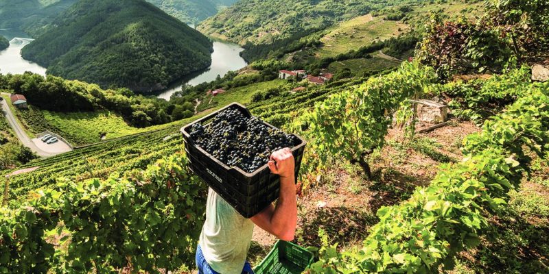 Ribeira Sacra Amandi