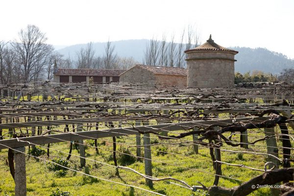 Bodegas Zarate Bodegas Zarate