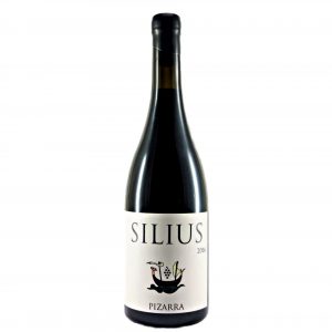 Silius pizarra 2016