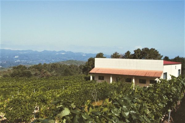 Bodegas El Paraguas