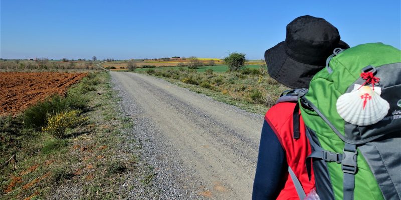 Camino de Santiago