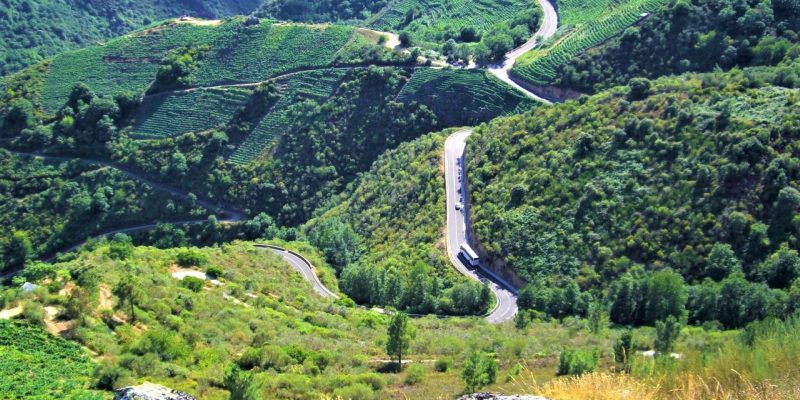 Viñedos de Galicia, Ribeira Sacra Viñedos de Galicia