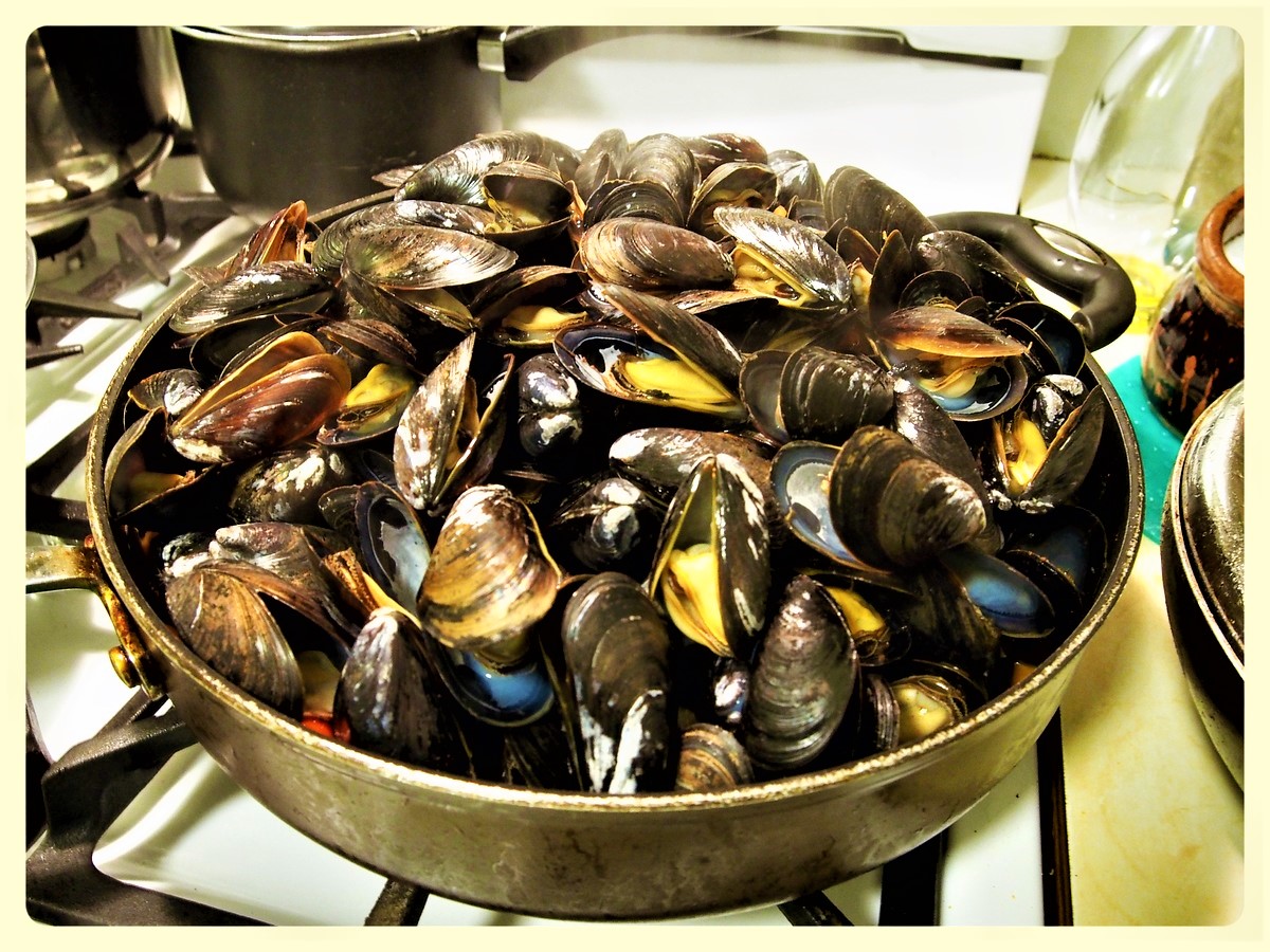 Mejillones deliciosos y nutritivos