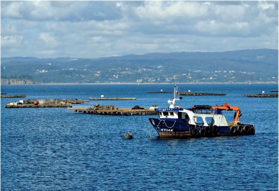 Barco y bateas