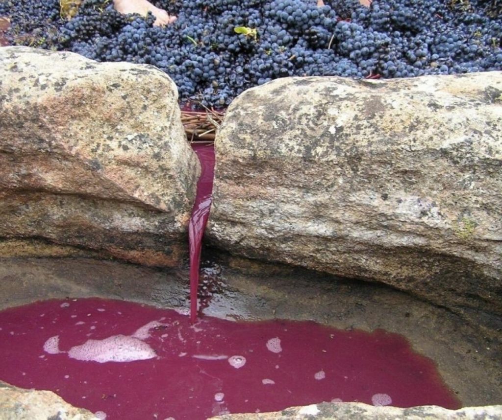 Pisado de uvas en un lagar de piedra