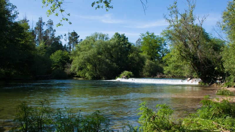 río Tea Río Tea