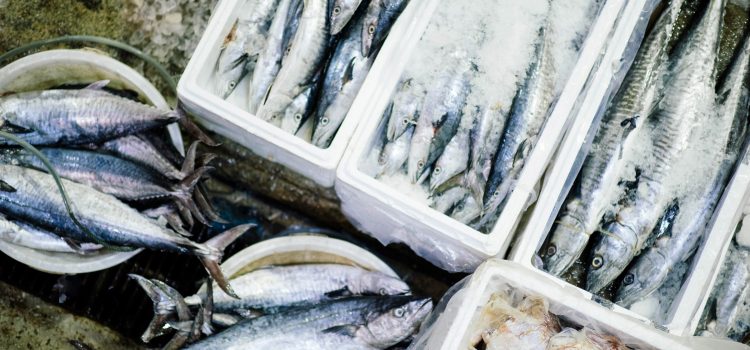 Pescado en la lonja