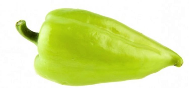 Pemento de Oimbra Pemento de Oimbra