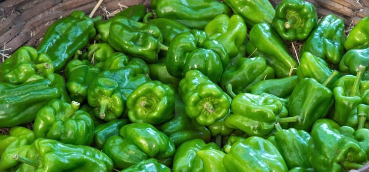 Pimientos de Arnoia Pimientos de Arnoia