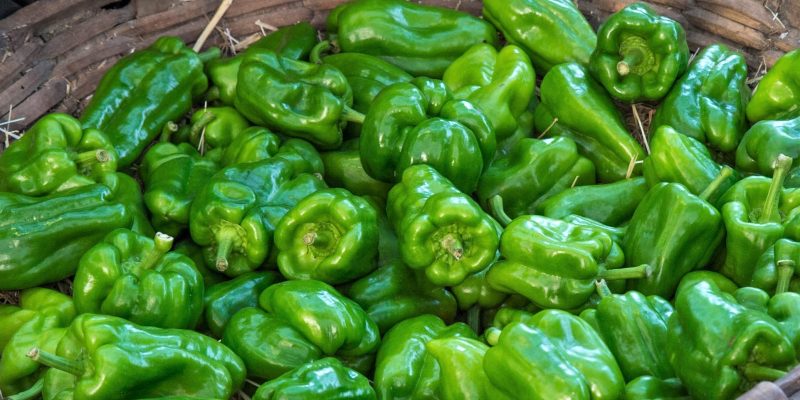 Pimientos de Arnoia Pimientos de Arnoia