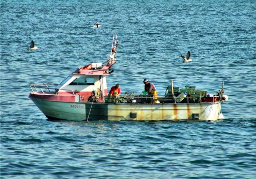 Marineros pescando con nasas