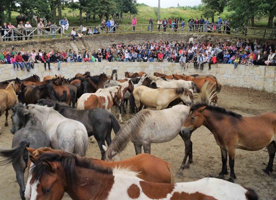 Curro de Sabucedo