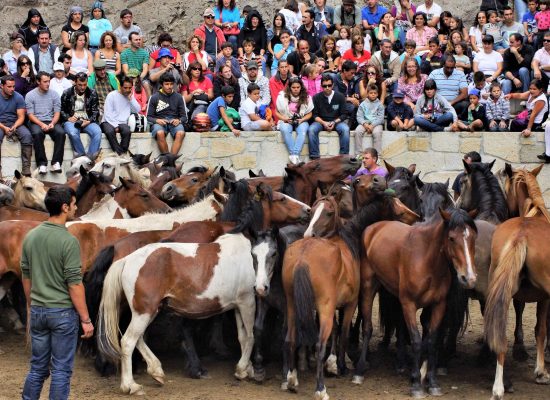 Curro de Sabucedo