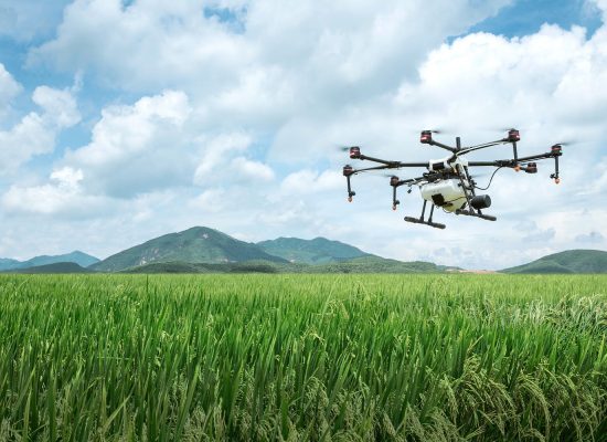 Drone sobre un campo