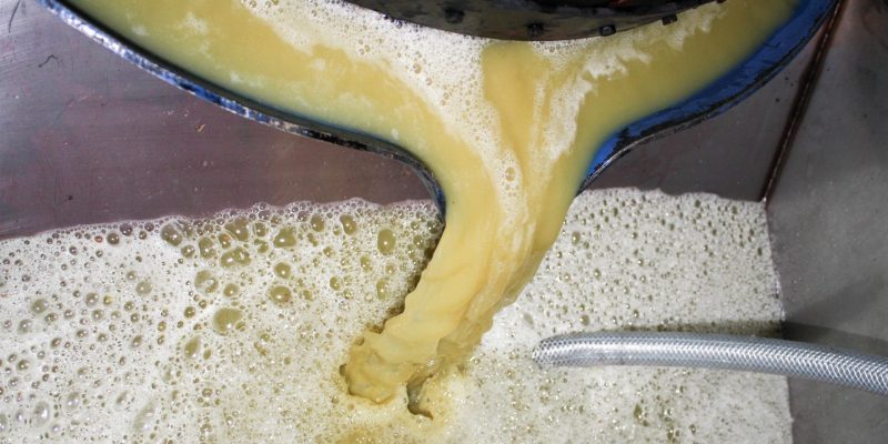 Mosto en fermentación Mosto en fermentación