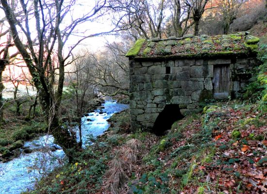 Molino de agua Molino de Galicia