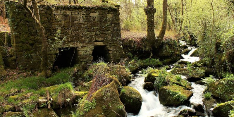 Molino Molino de Galicia