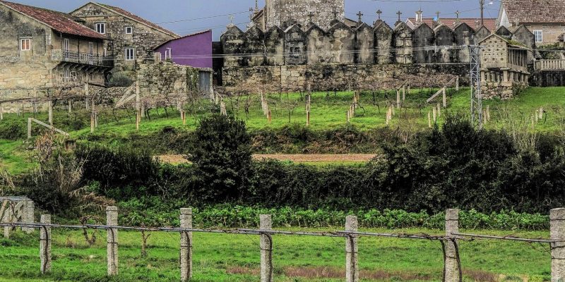 Vides en emparrado y otros cultivos Paisaje rural gallego con parras y cultivos de hortalizas