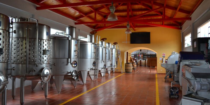 Bodega de vinos