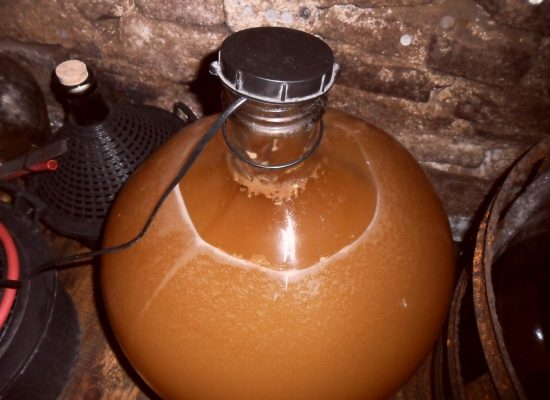 Mosto en fermentación. Imagen de Vejvančický en.wikipedia.org/wiki/User/talk:Vejvančický (Fuente Wikimedia Commons) Mosto en fermentación