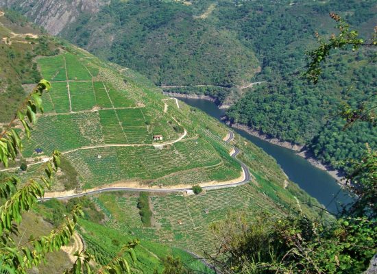 Ribeira Sacra bancales, terrazas, muras, socalcos, pataos