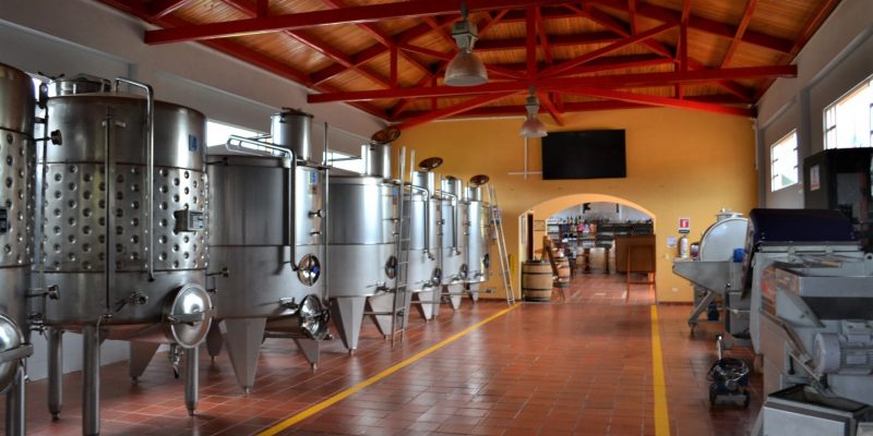 Bodega de vino Bodega de vino