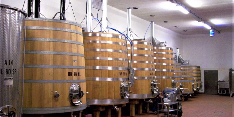 Bodega con fudres y filtro con bomba Bodega con fudres y filtro con bomba