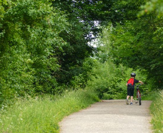 Niño, bicicleta, naturaleza, senda