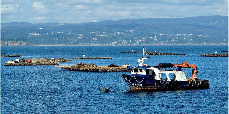 Barco pesquero y bateas en la Ría de Arousa