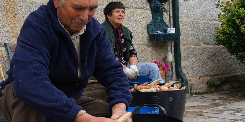 Degrañar o debullar el maíz