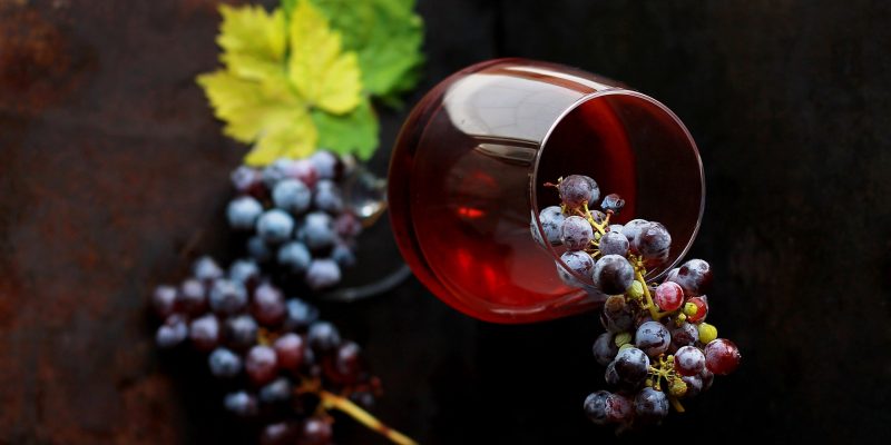 Pilofenoles antioxidantes de la uva al vino