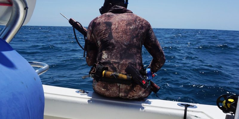 Pesca con arpón en Galicia