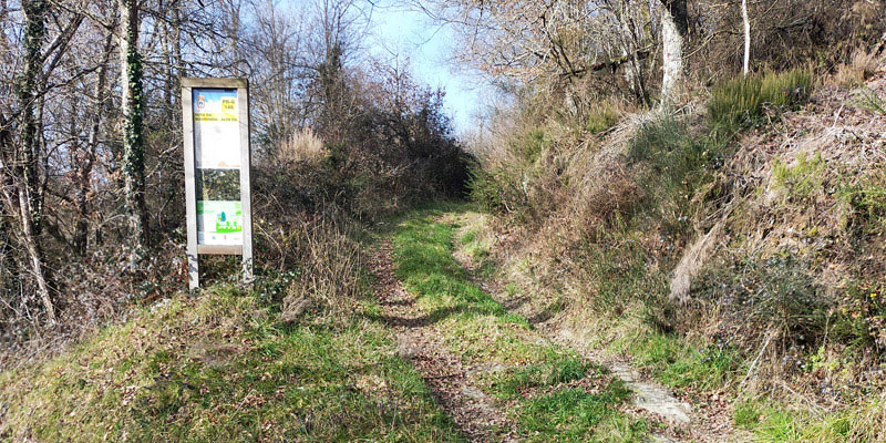 Comienzo ruta A Marronda