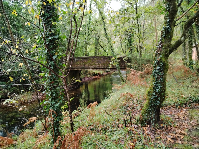 Puente sobre el río