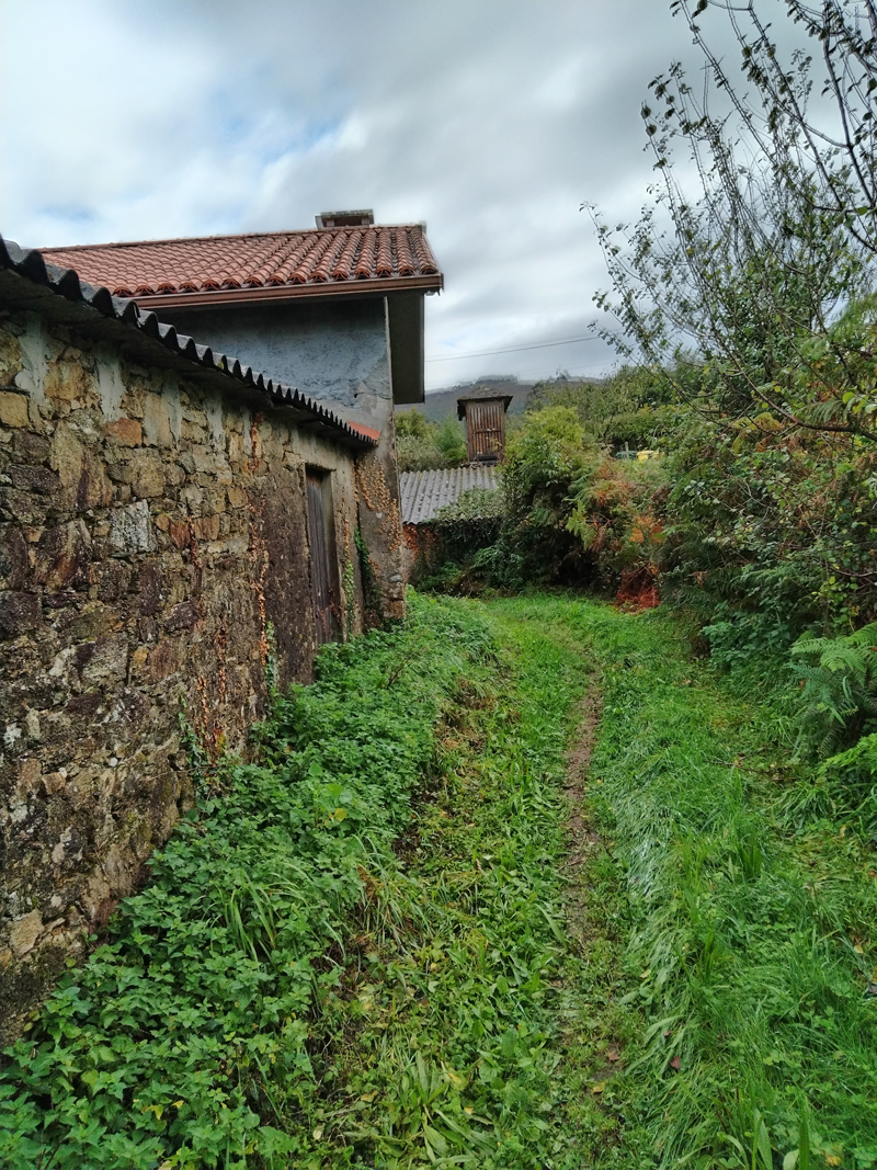 camino hacia Viladonelle