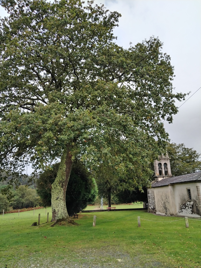 Iglesia de Viladonelle