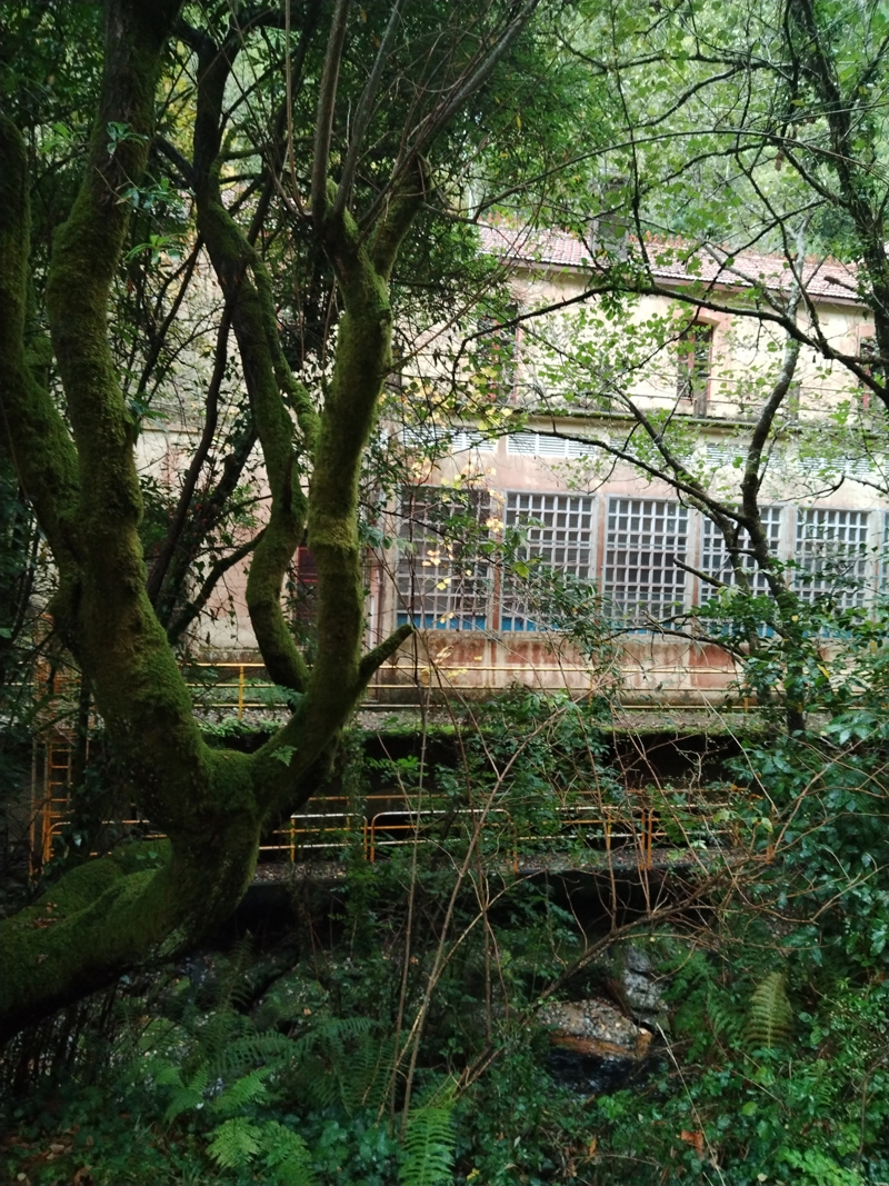 Central eléctrica de Belelle