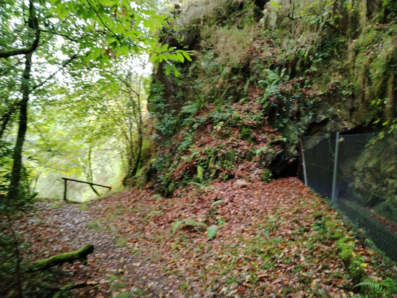 Desviación del camino