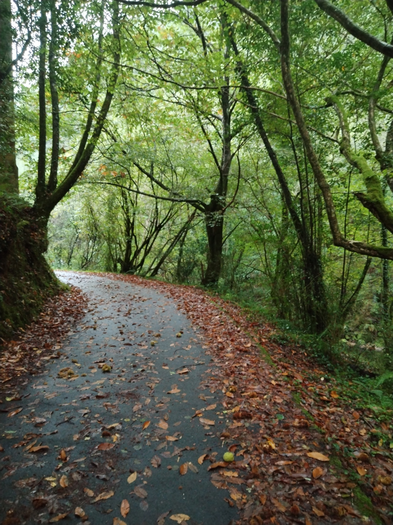 Inicio de la ruta de Belelle